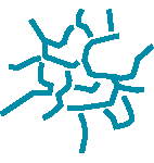 Psoriasis